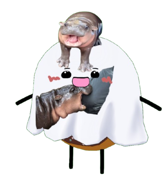Moo Deng