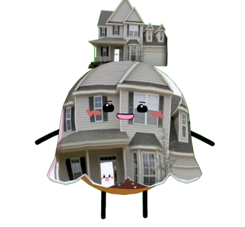 Our House In The Middle Of