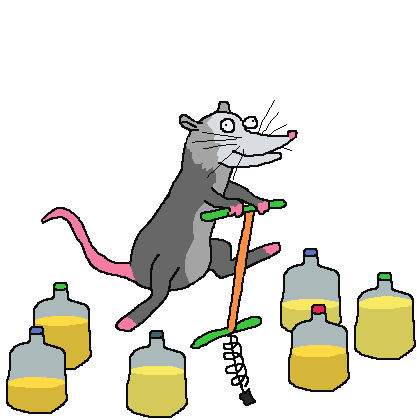 Alexi The Pogo Possum