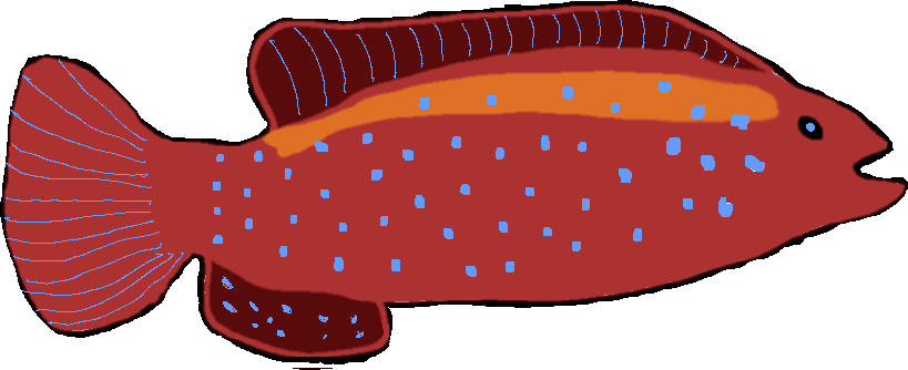 Red Fish